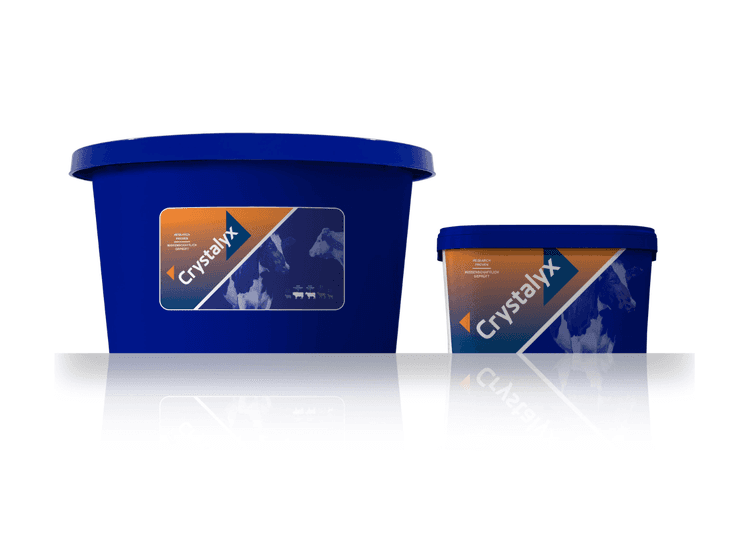 Crystalyx Pre-Calver