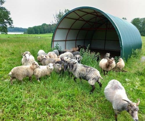 Teisaldatav varjualune