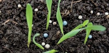 Leheväetiste seminar