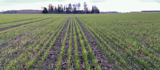 Starterväetiste katsed