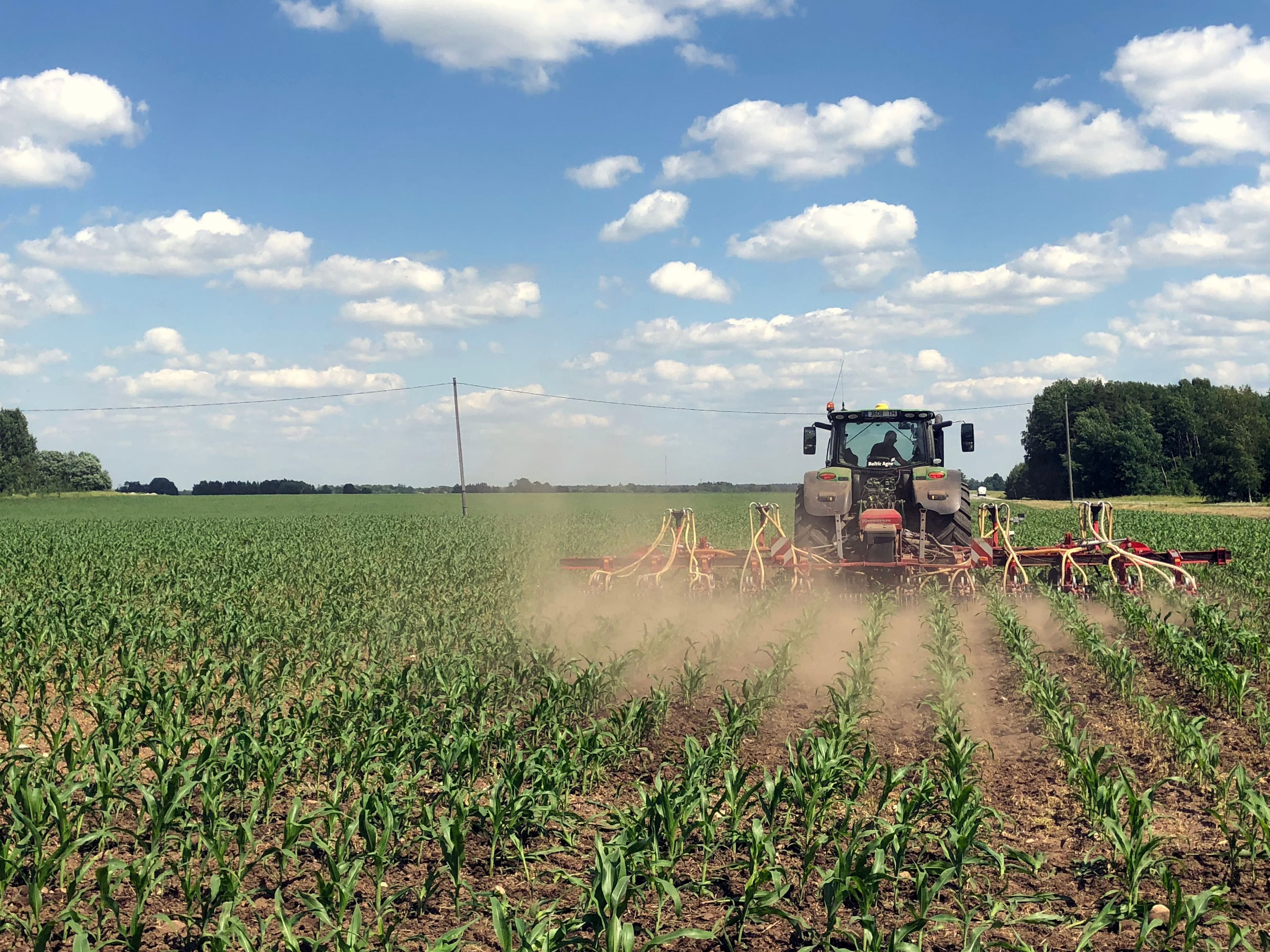 Maisi sordivõrdlus 2022