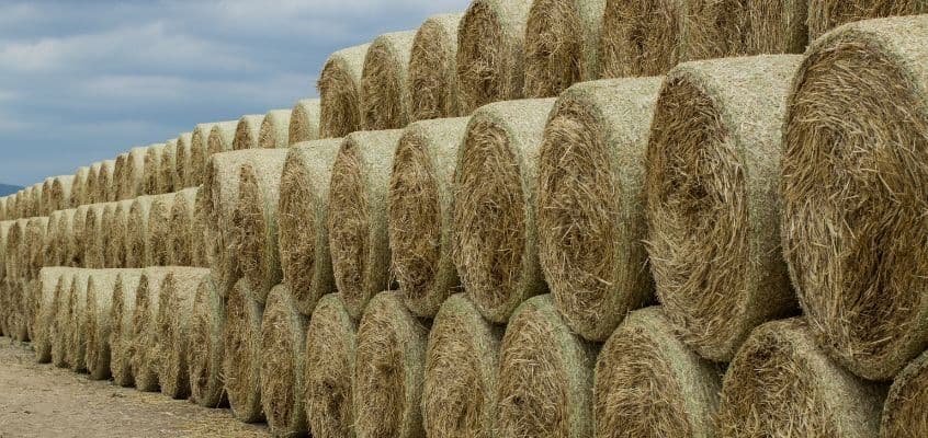 Katted heina- ja põhurullidele