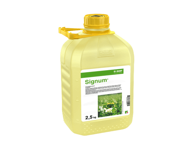 Signum