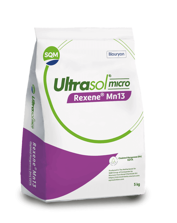 Ultrasol Micro Rexene Mn13