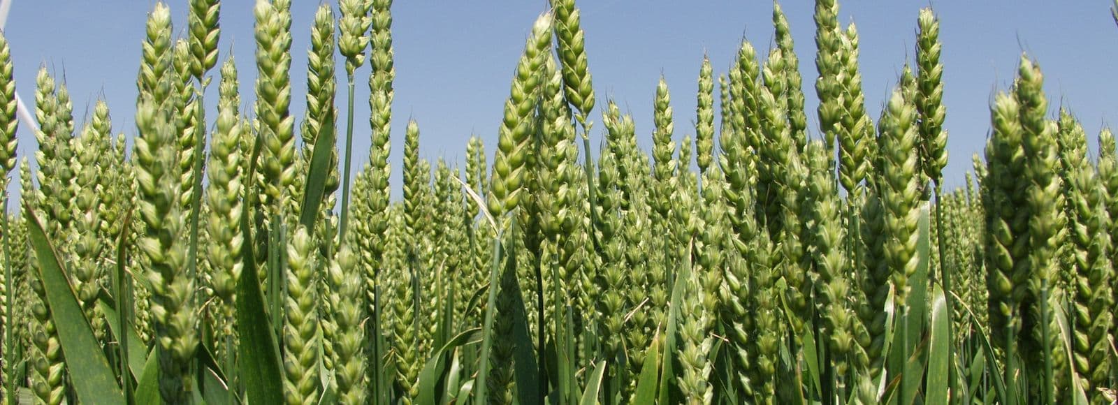 2019 Maheseminar Viljandis