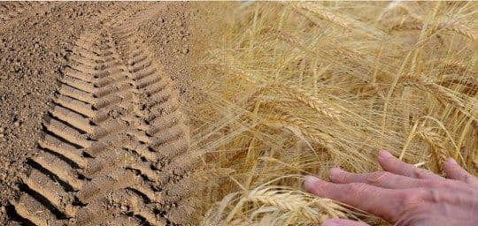 Põllumajandusteenused taimekasvatuseks