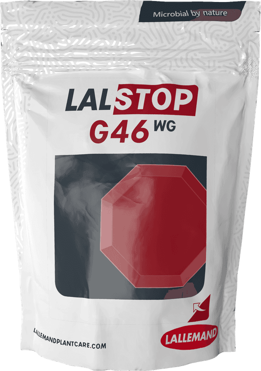LALSTOP G46 WG