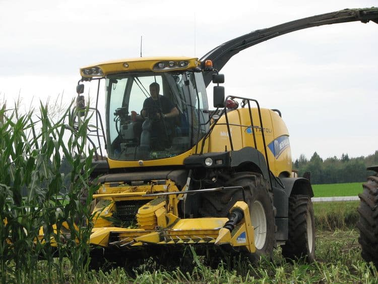 Maisi koristus ja vedu