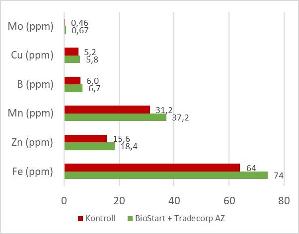 Mikroelementide sisaldus