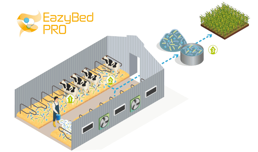 EazyBed Pro kolmekordne toime