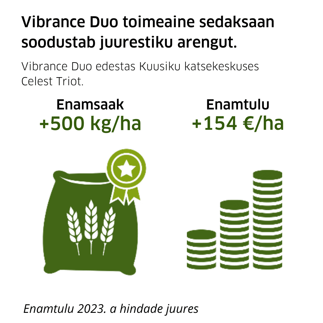 Vibrance Duoga puhtimine soodustab juurestiku arengut