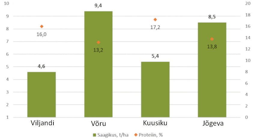 Suvinisu Cornetto katsetulemused 2022