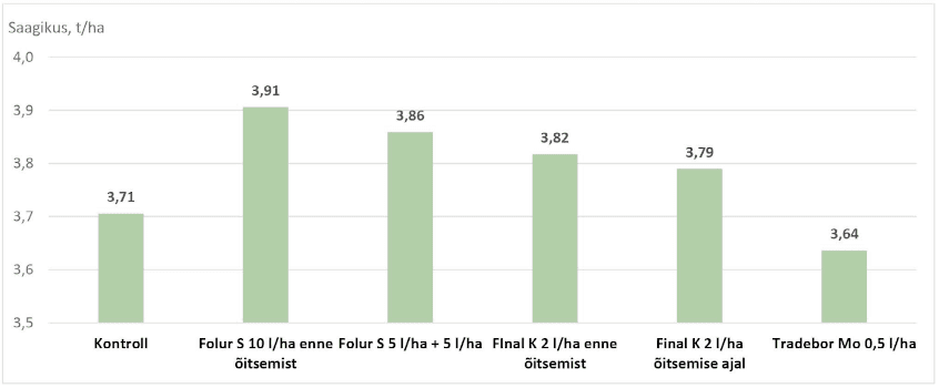 Talinisu Julius saagikus