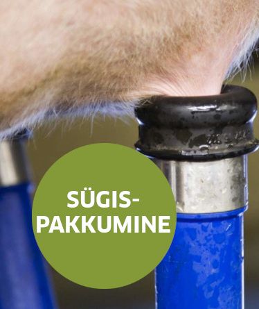 Sügispakkumine nisadesoks